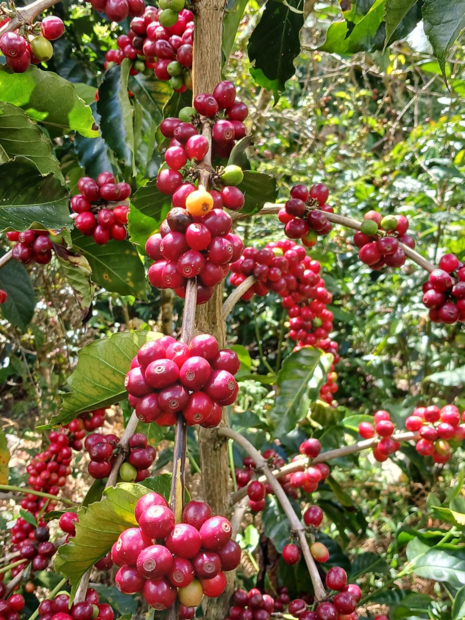 Lia B&B Lucmabamba Sahuayaco Ngoại thất bức ảnh